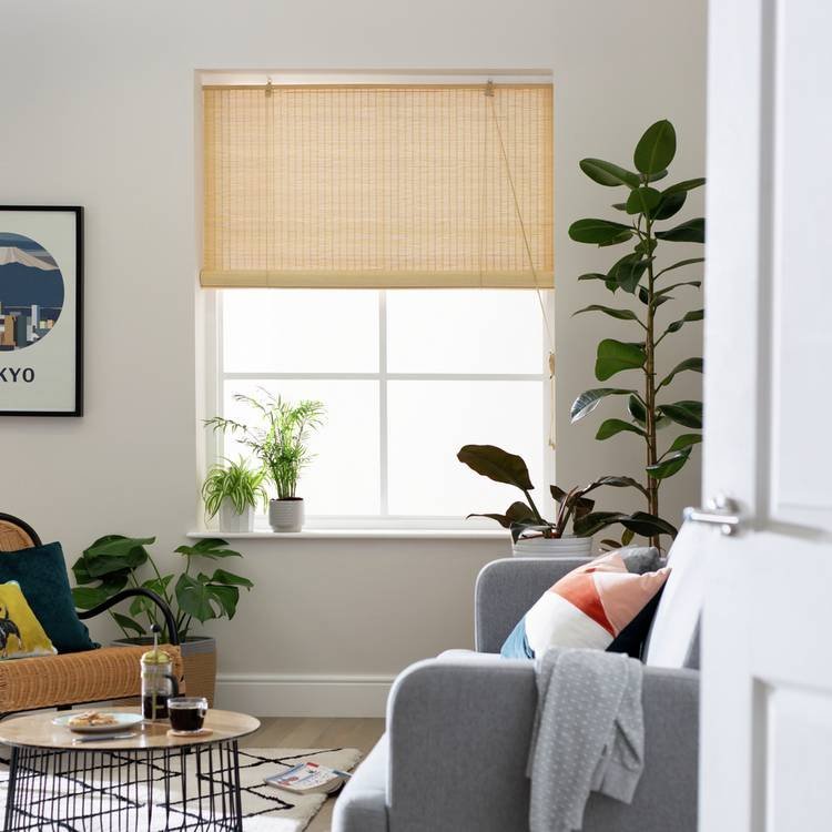 Habitat Daylight Bamboo Natural Roller Blind - 60cm